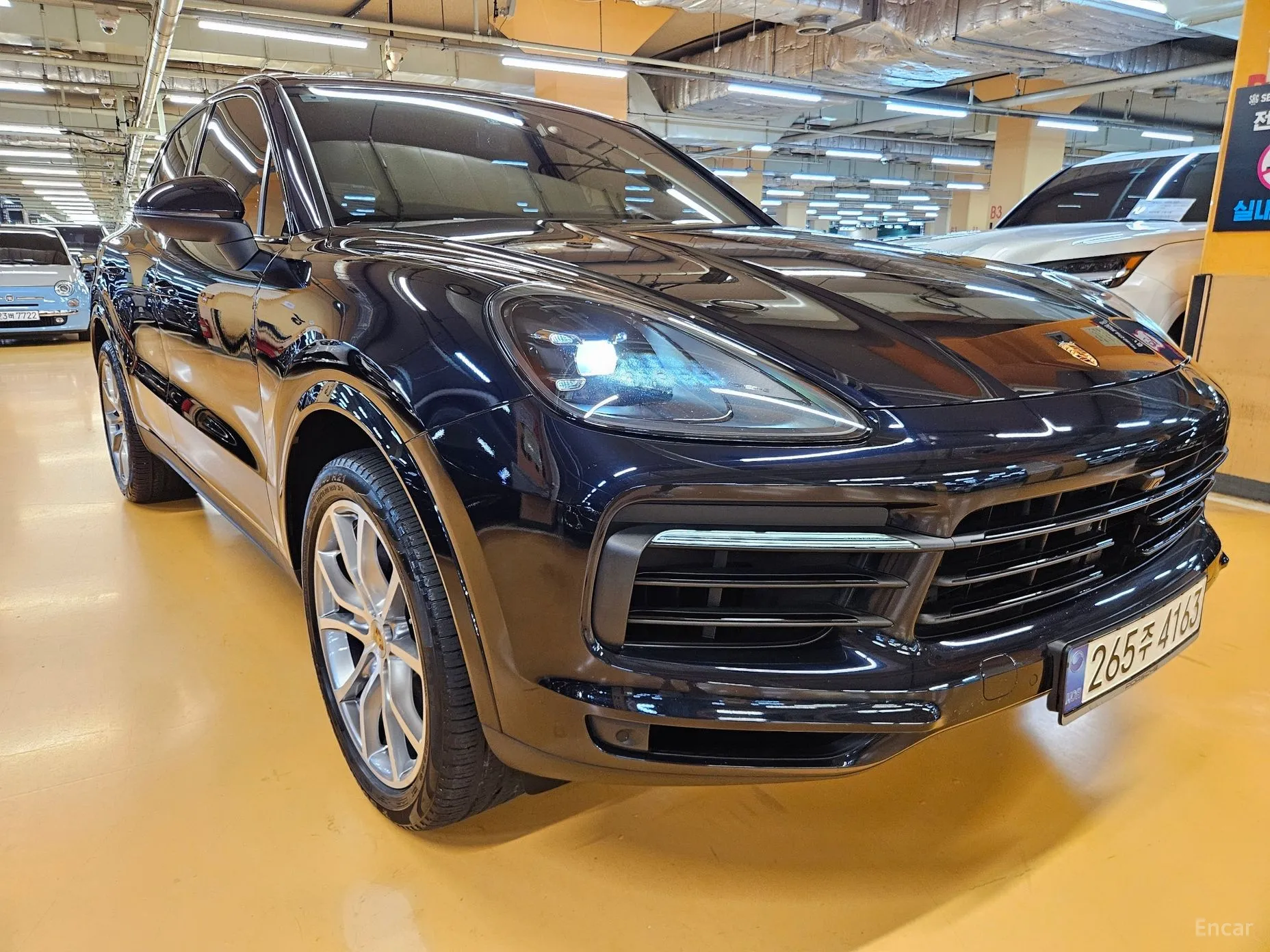 Cayenne (PO536)