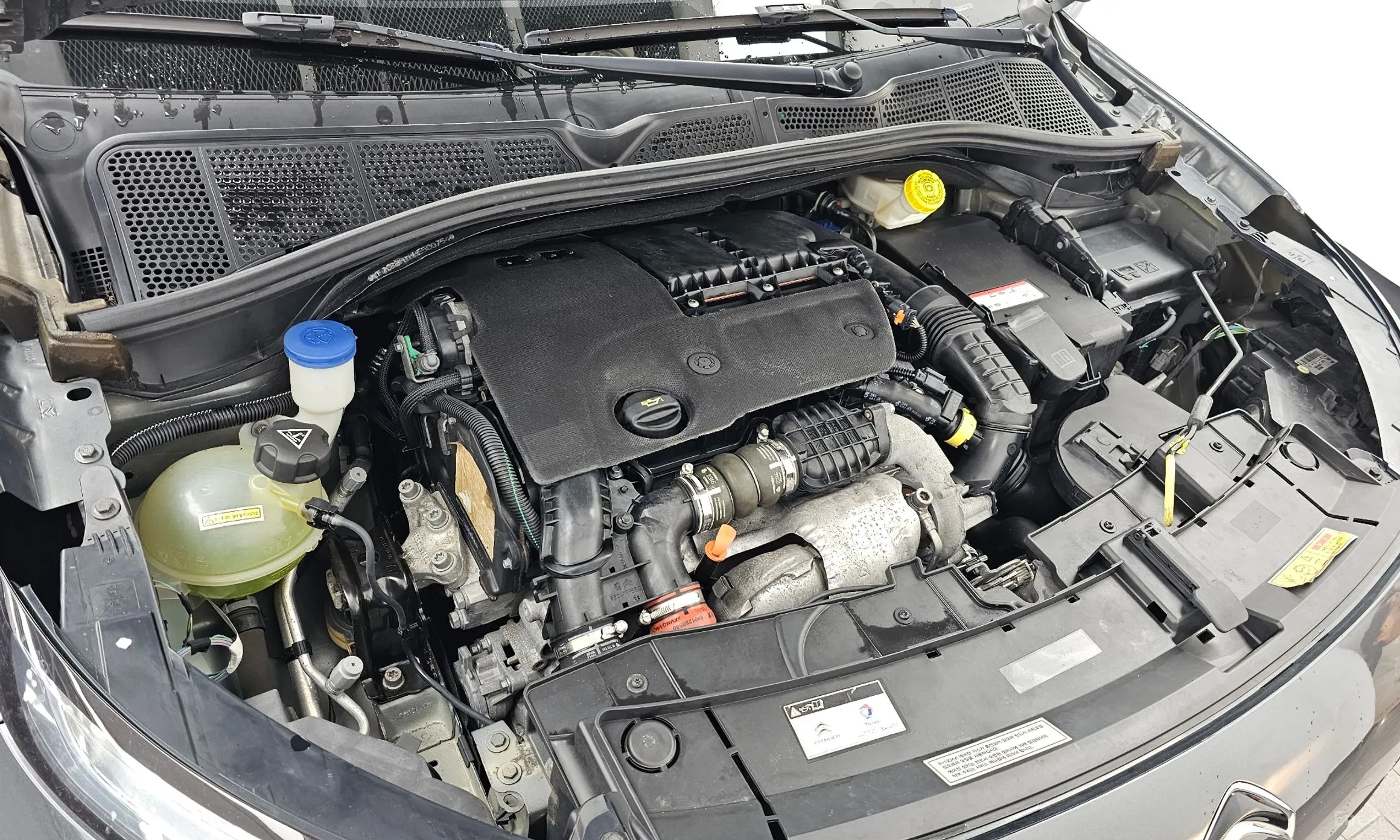 Citroën/DS C4 Cocktooth превью 6