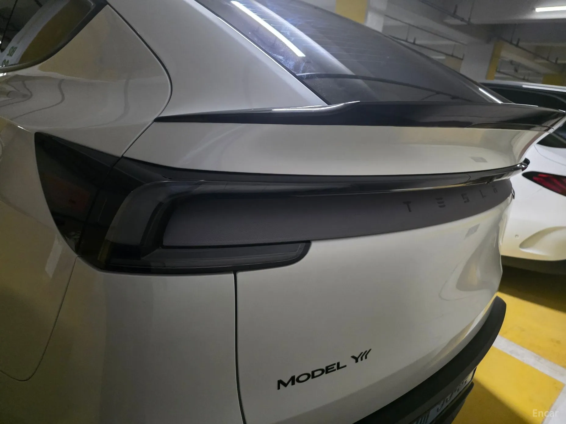 Tesla Model Y превью 4