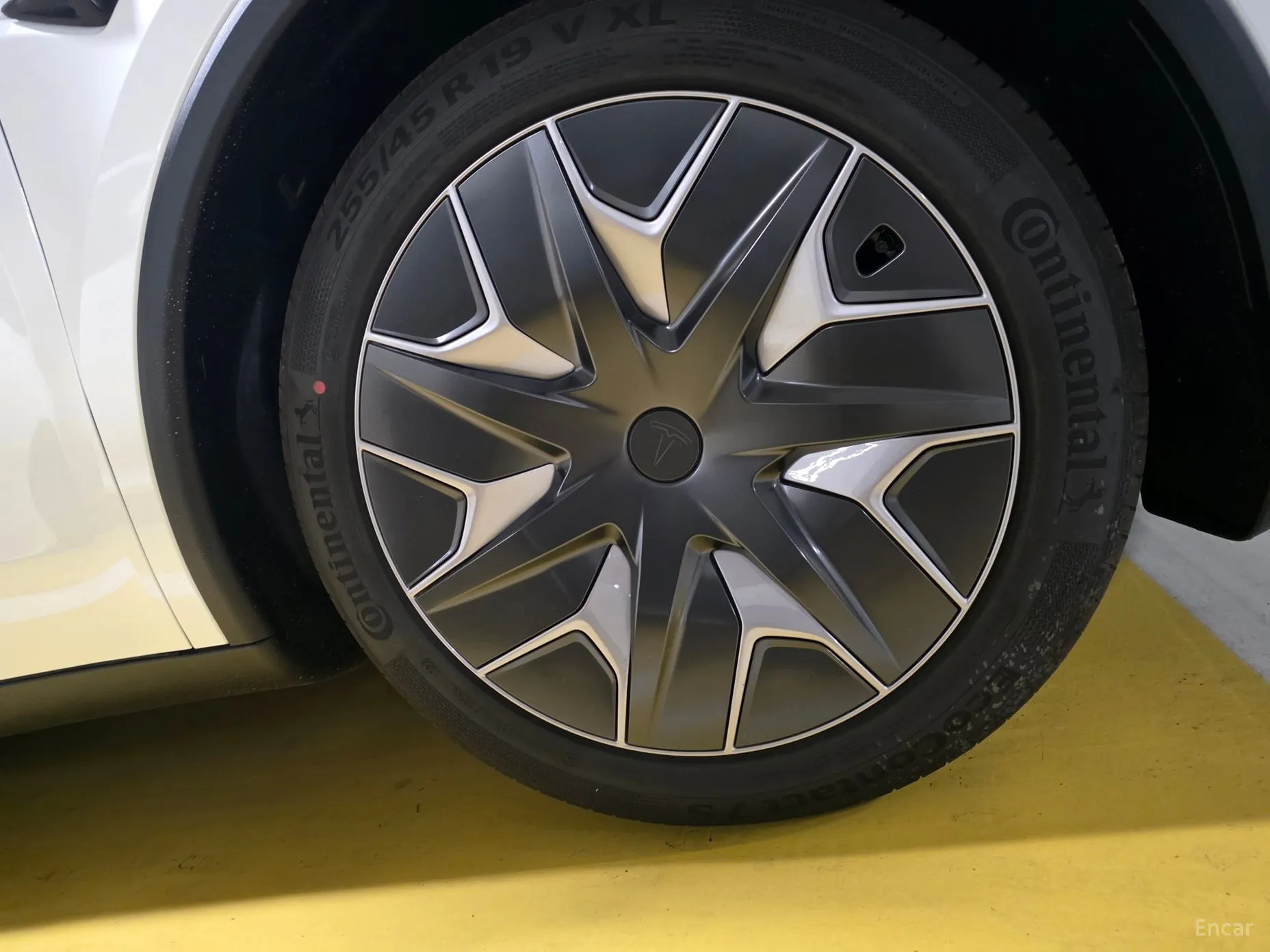 Tesla Model Y превью 5