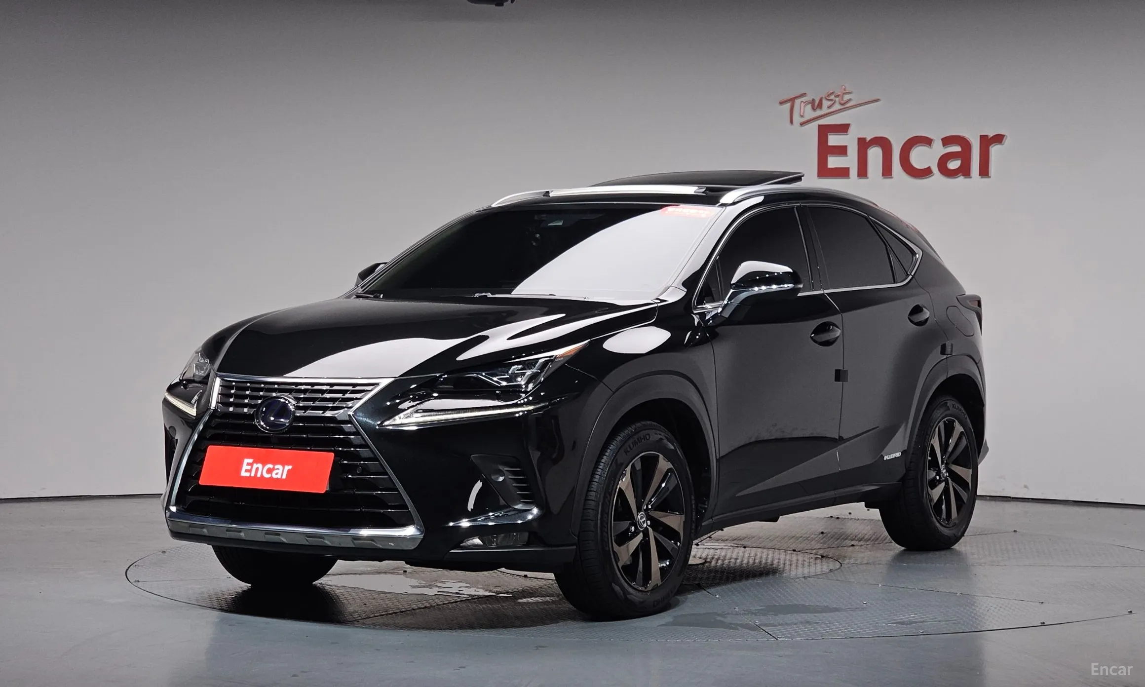 Lexus NX300h