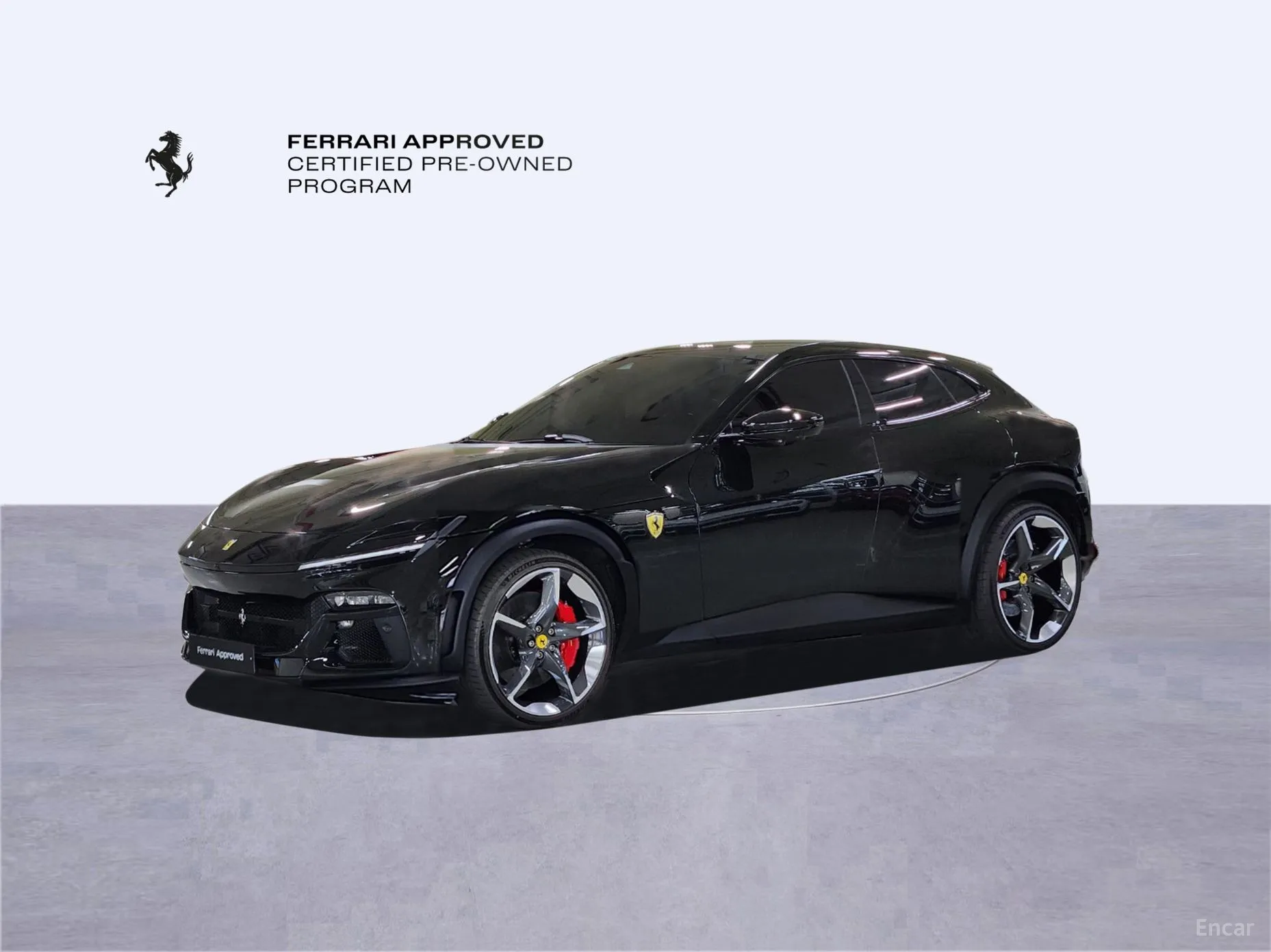 Ferrari Puro Sange превью 10
