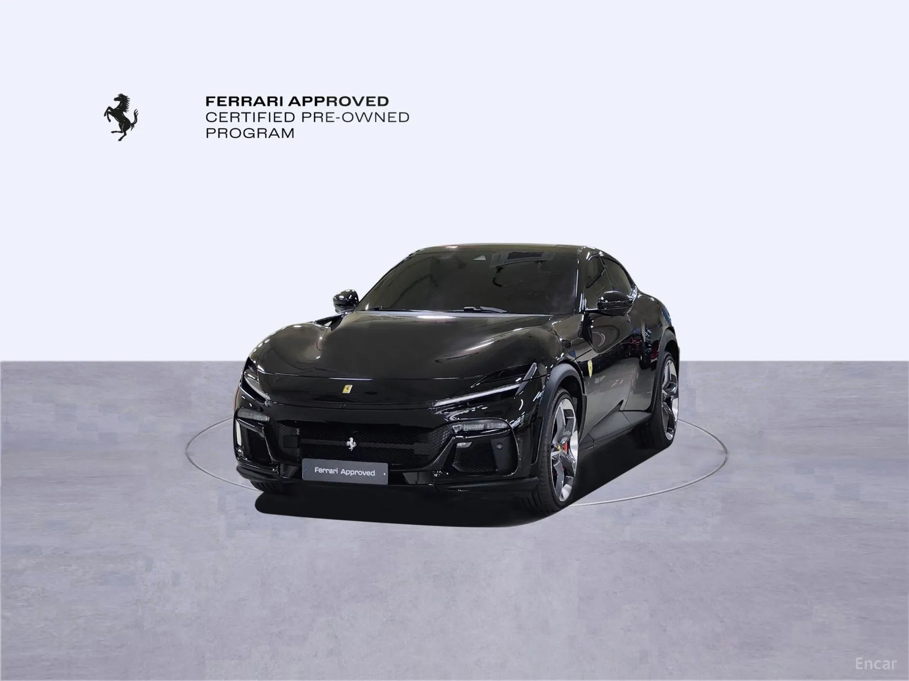 Ferrari Puro Sange превью 11
