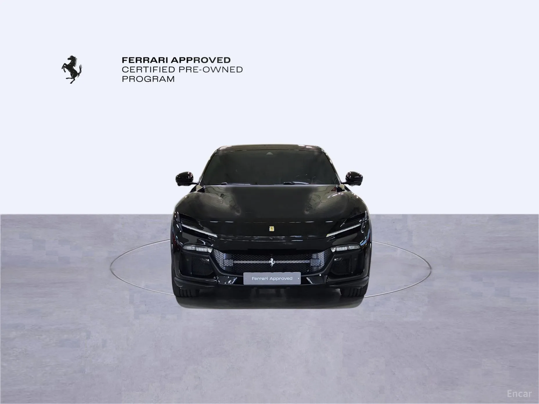 Ferrari Puro Sange