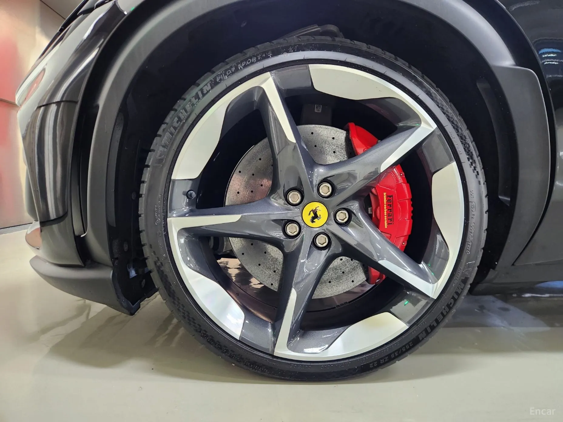 Ferrari Puro Sange превью 20