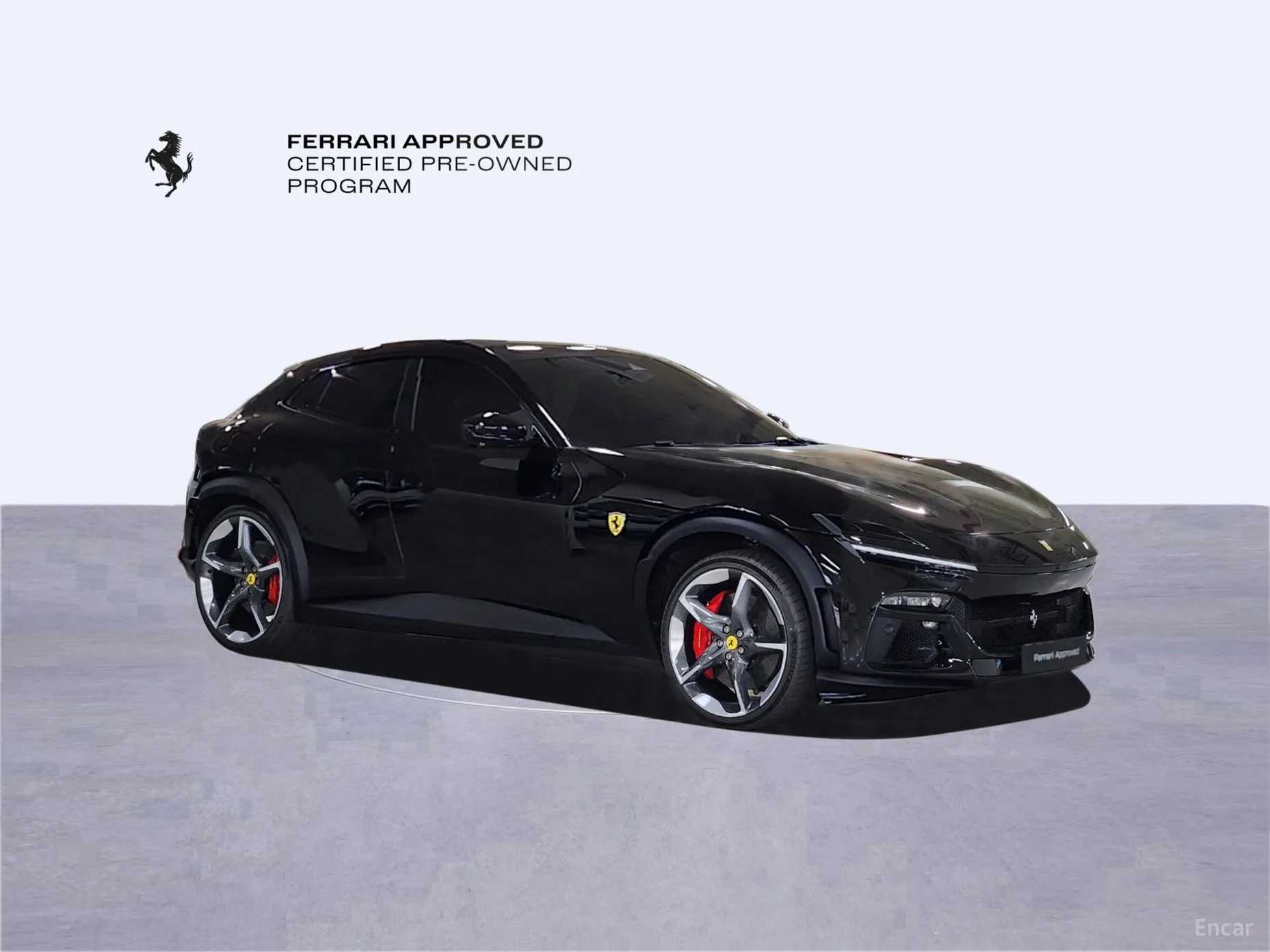 Ferrari Puro Sange превью 4