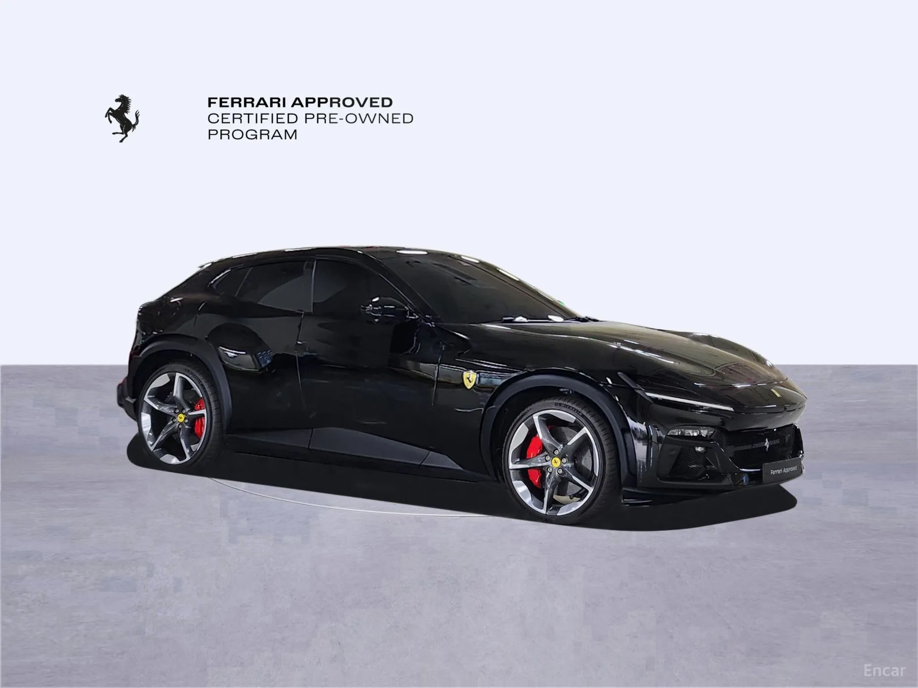 Ferrari Puro Sange превью 5