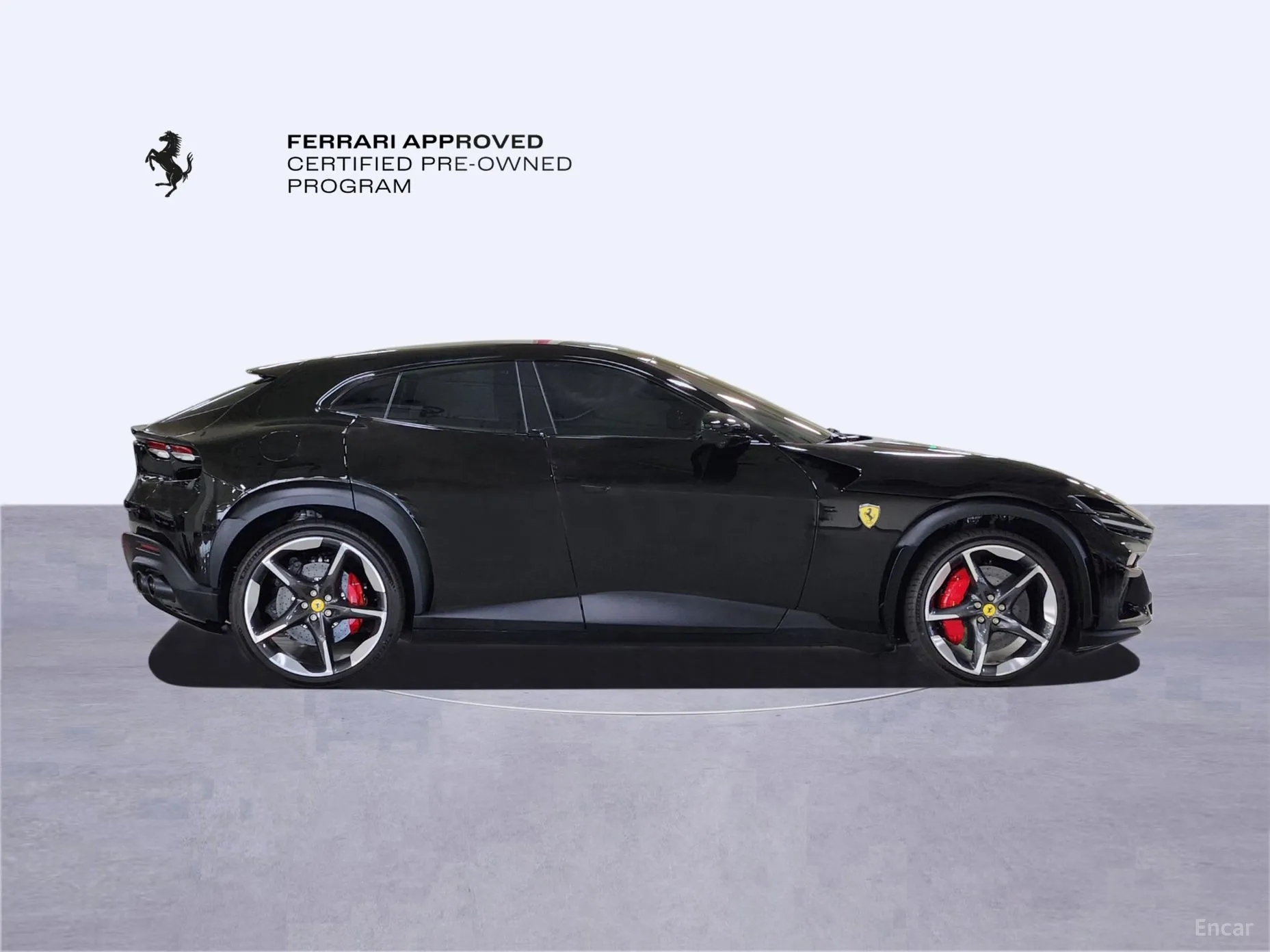 Ferrari Puro Sange превью 6