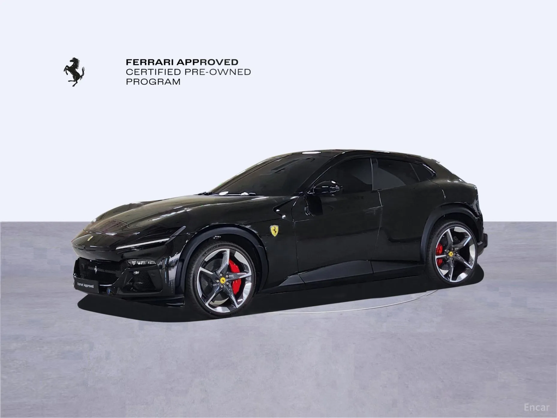 Ferrari Puro Sange превью 9