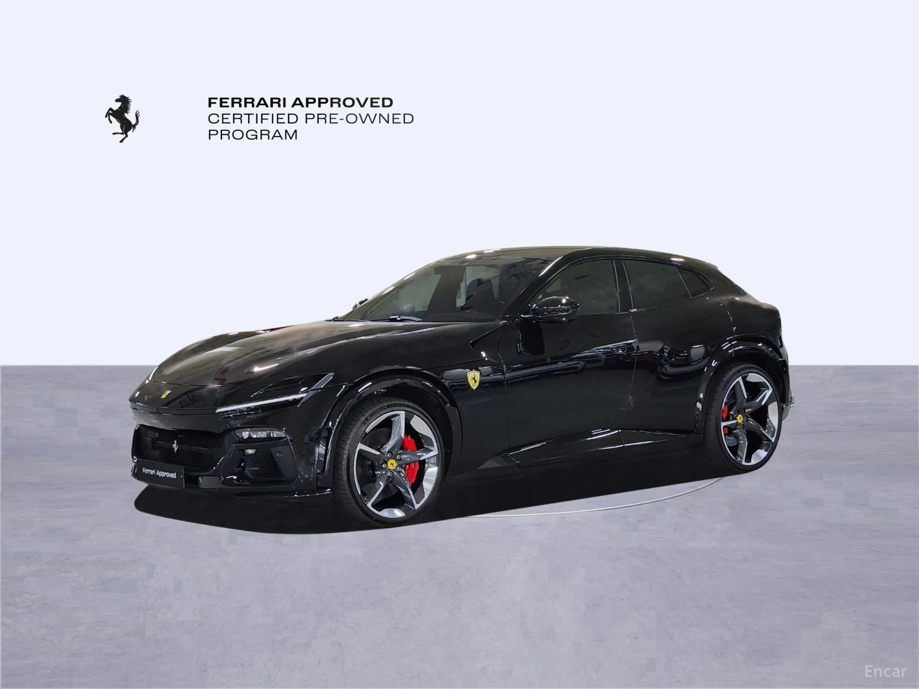 Ferrari Puro Sange превью 10