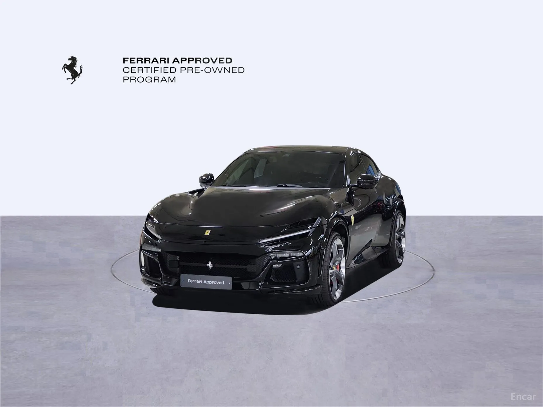 Ferrari Puro Sange превью 11