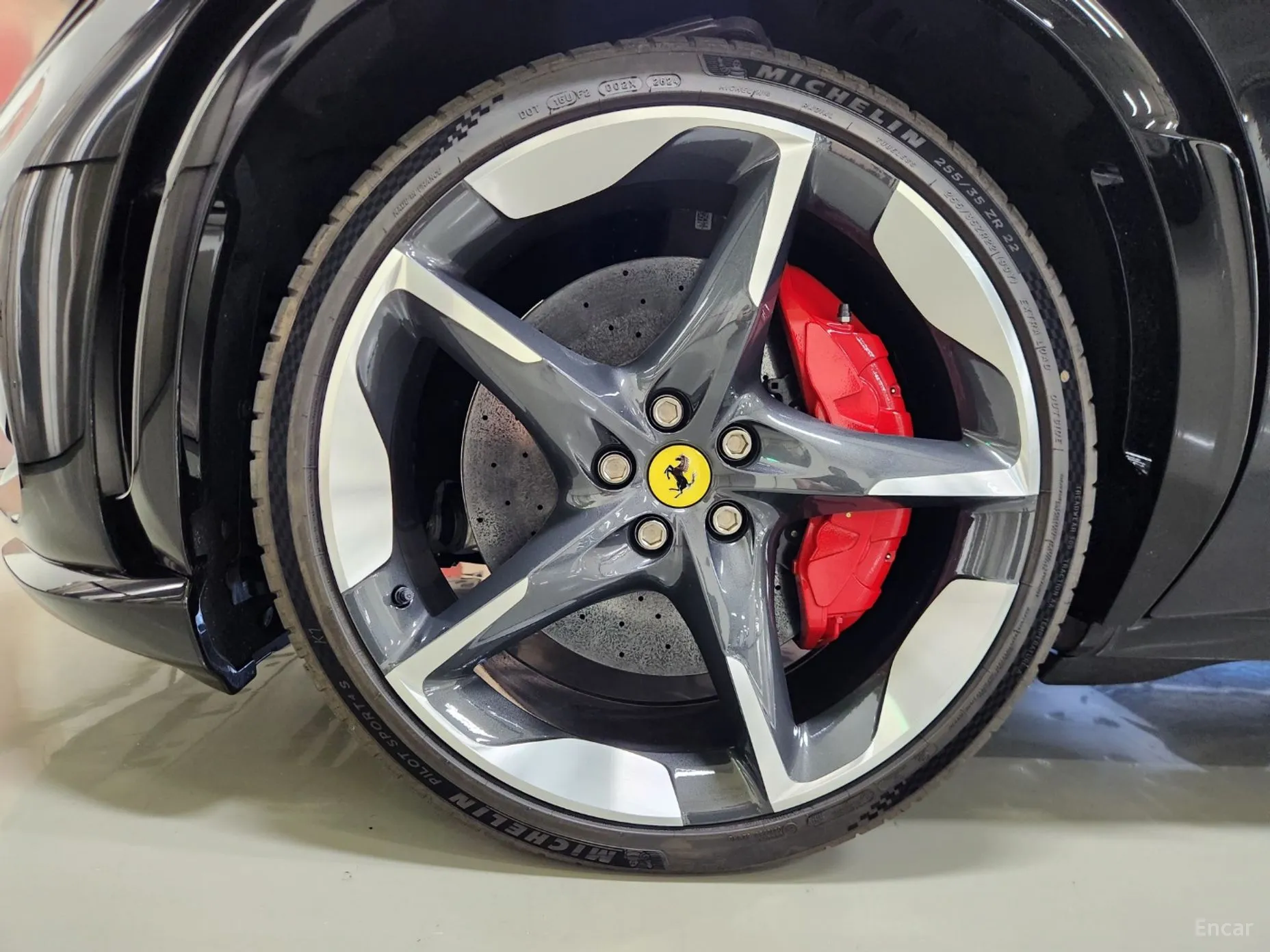 Ferrari Puro Sange превью 12