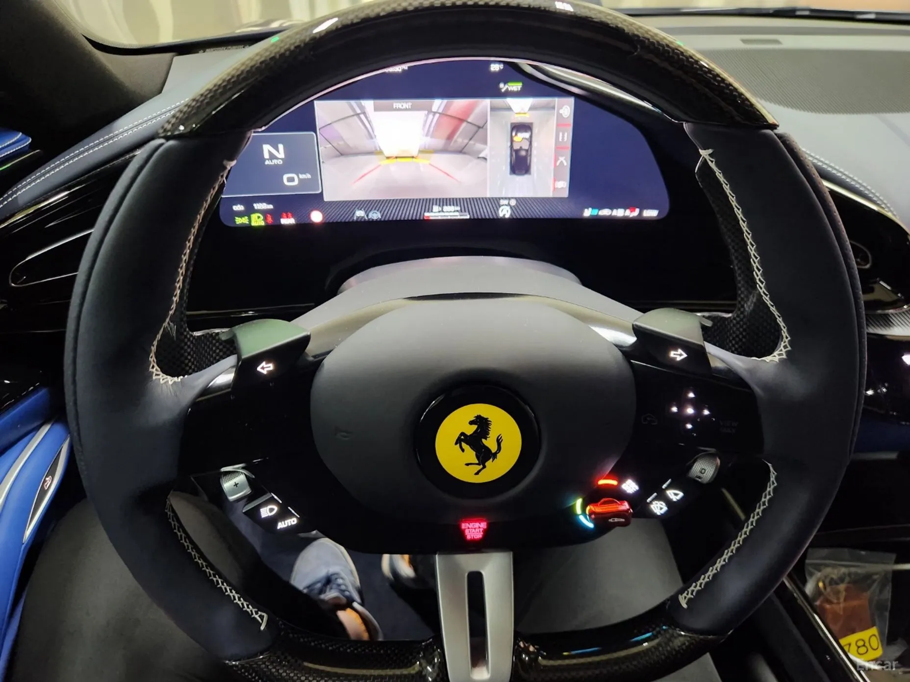 Ferrari Puro Sange превью 14