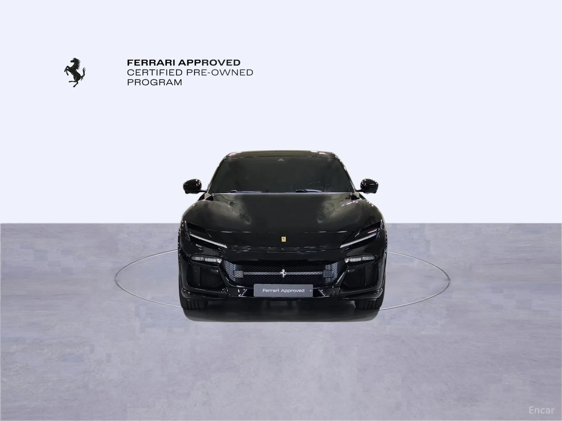 Ferrari Puro Sange