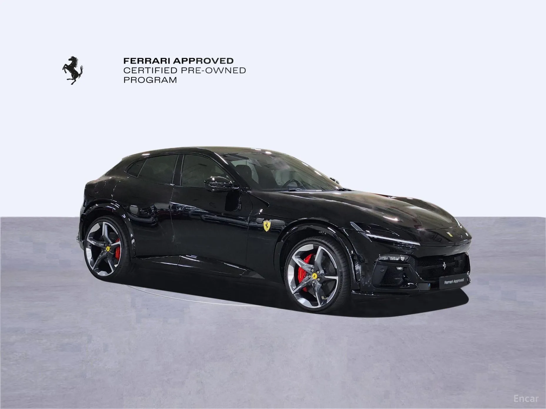 Ferrari Puro Sange превью 4