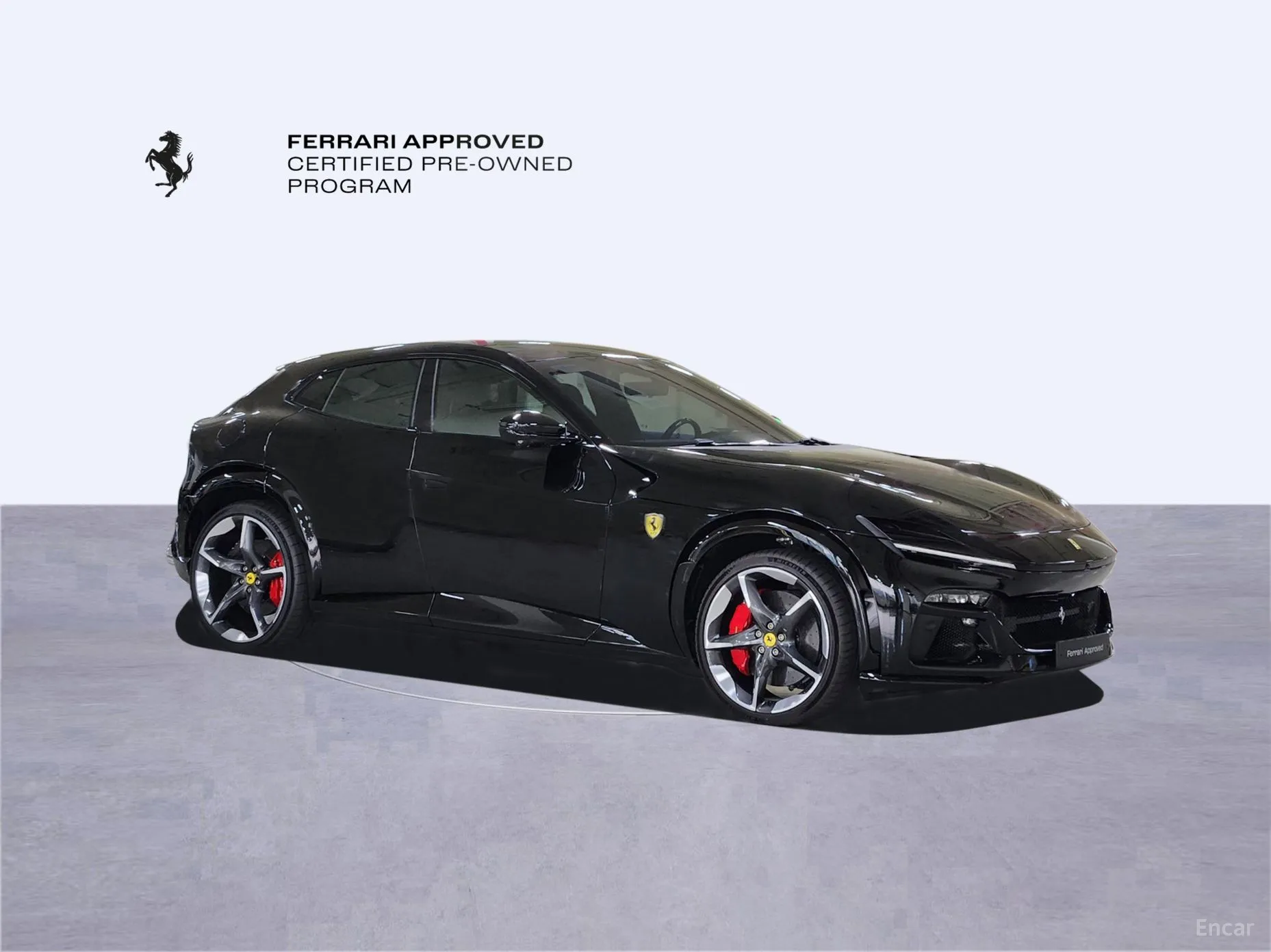 Ferrari Puro Sange превью 5