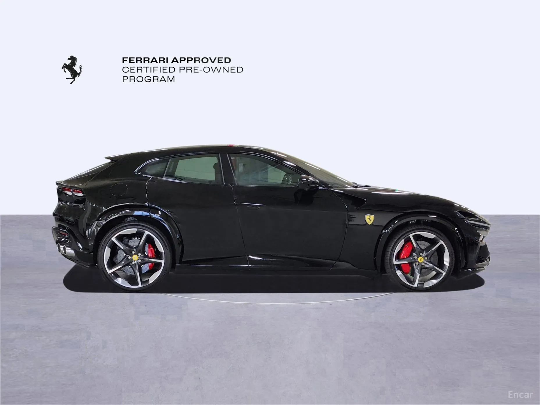 Ferrari Puro Sange превью 6