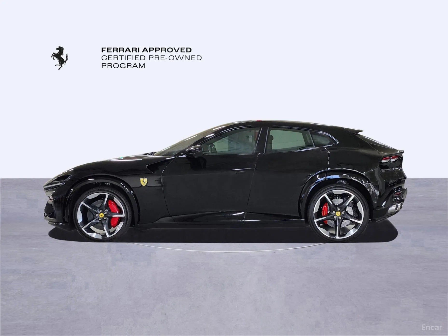 Ferrari Puro Sange превью 8