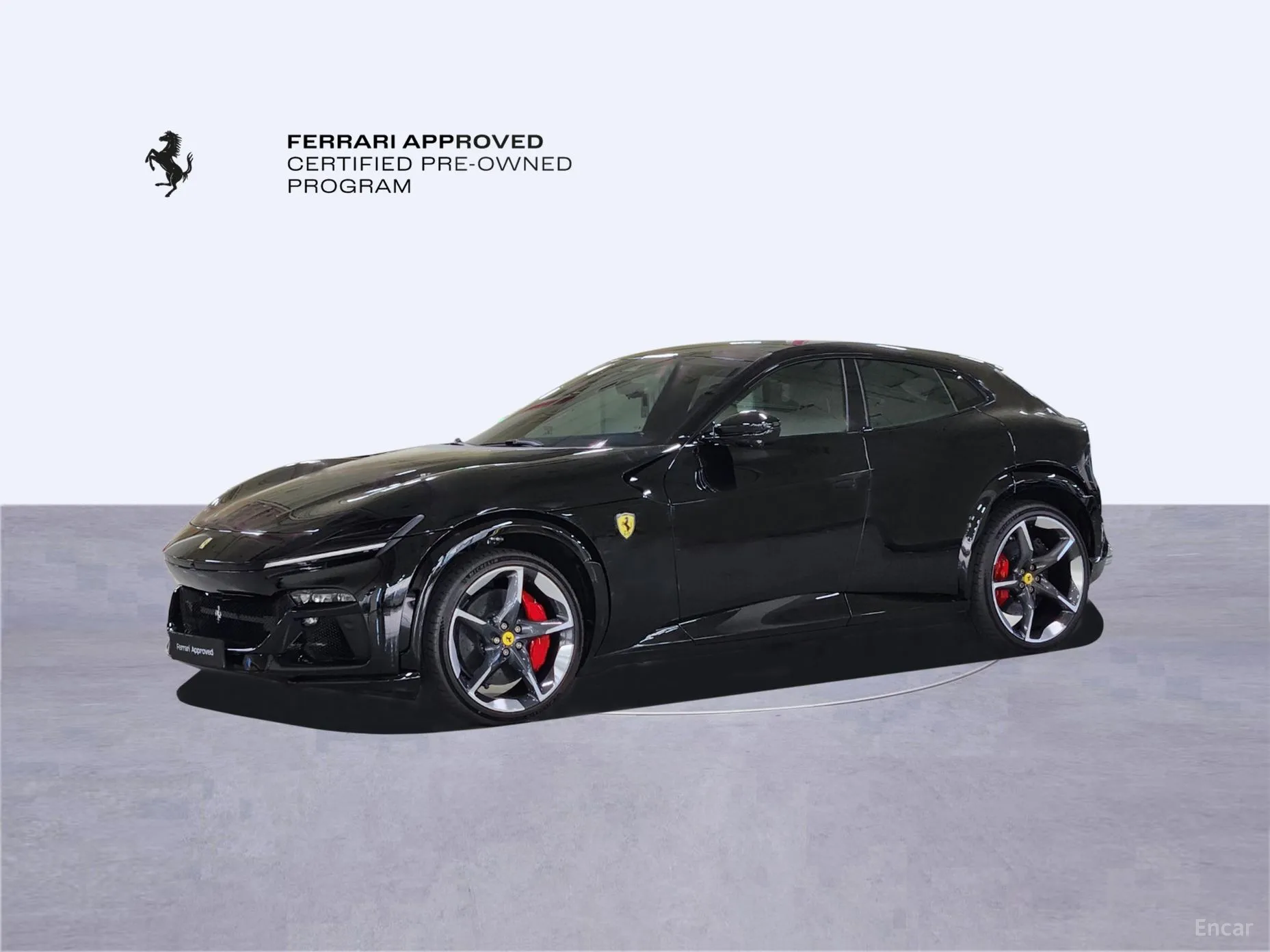 Ferrari Puro Sange превью 9