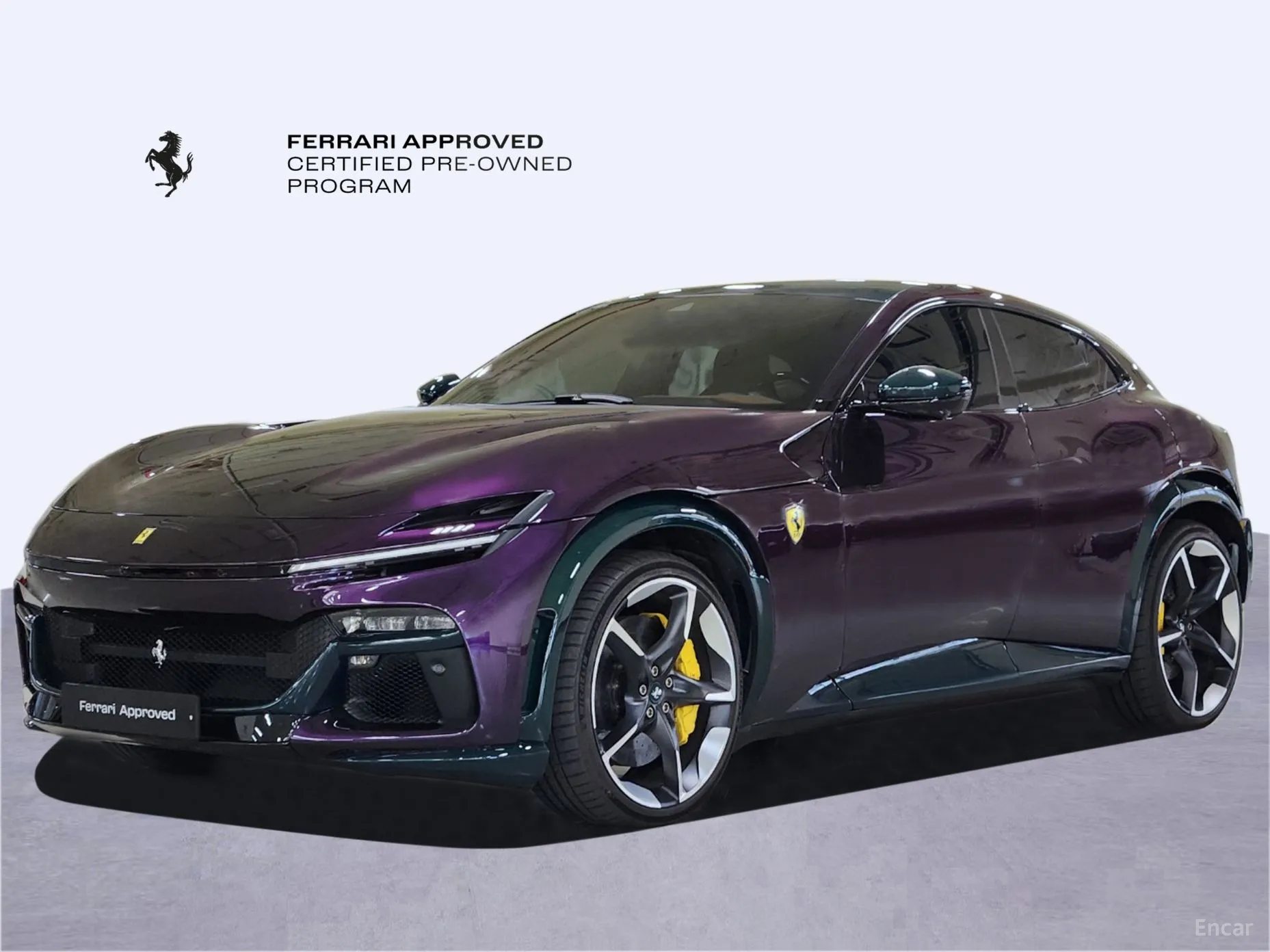 Ferrari Puro Sange