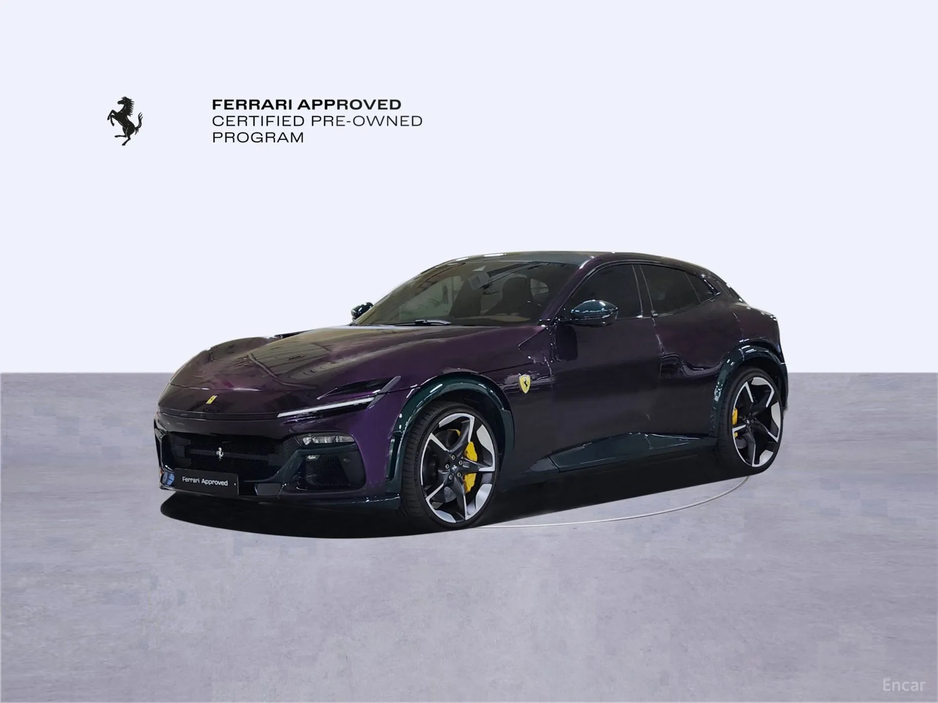 Ferrari Puro Sange превью 10