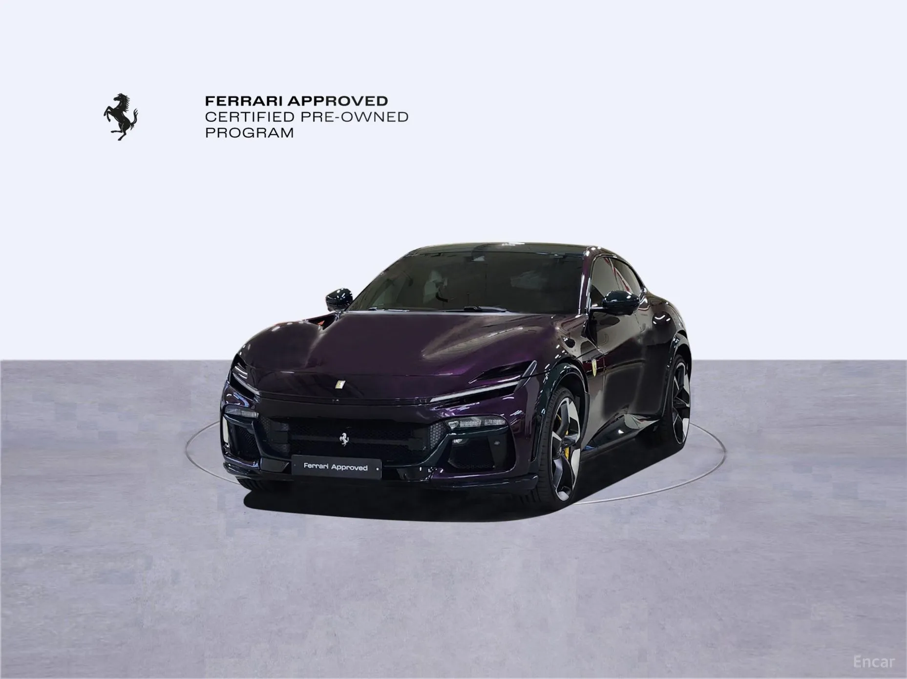 Ferrari Puro Sange превью 11