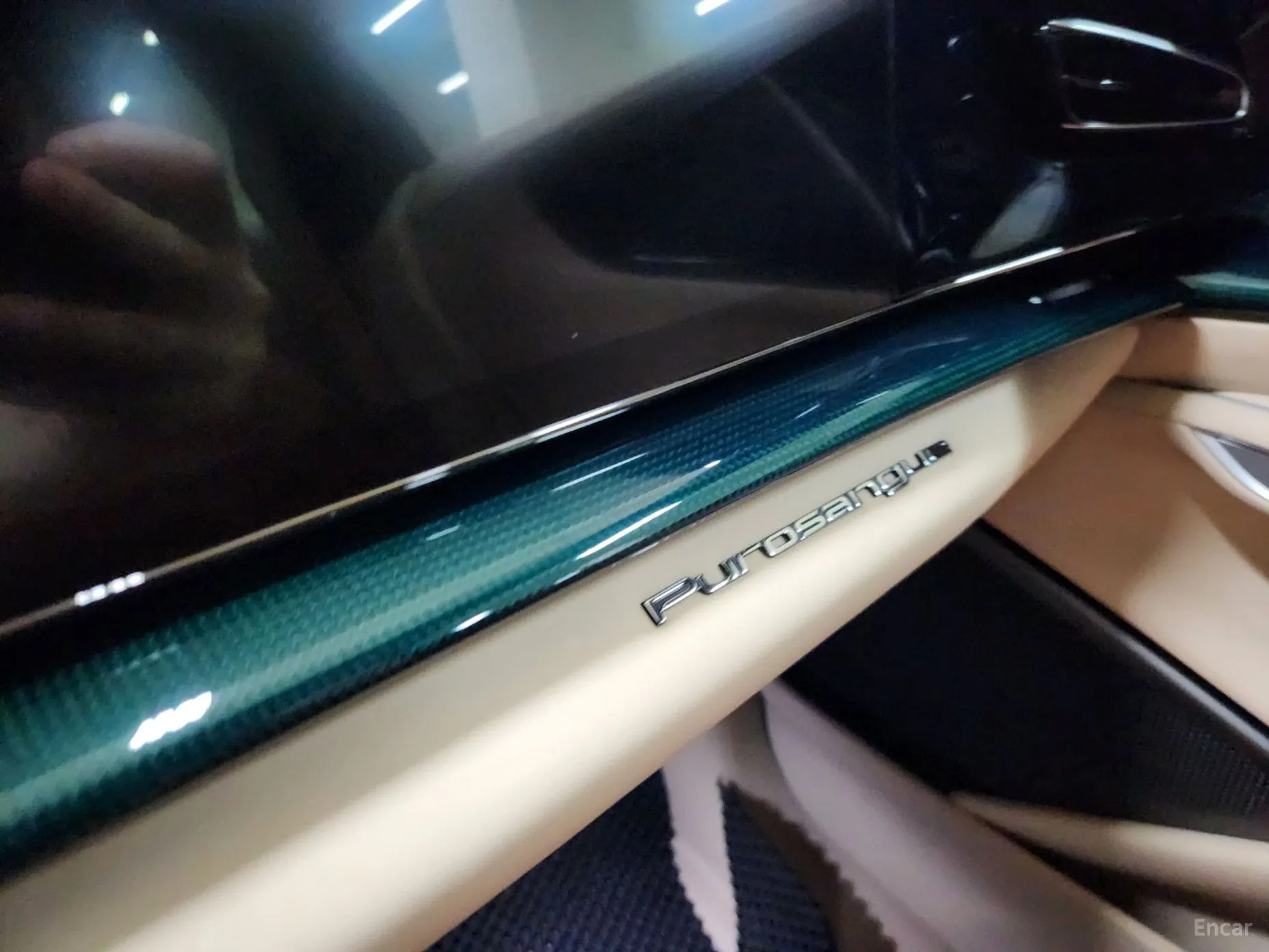 Ferrari Puro Sange превью 15