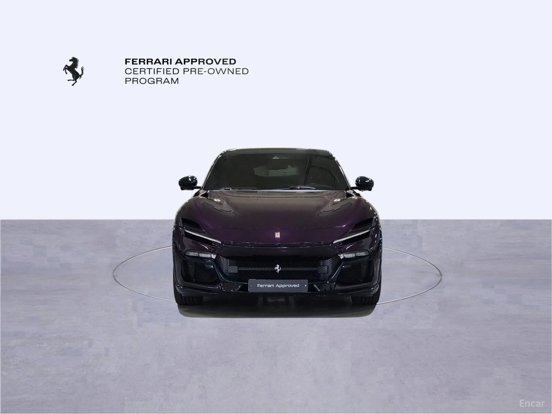 Ferrari Puro Sange