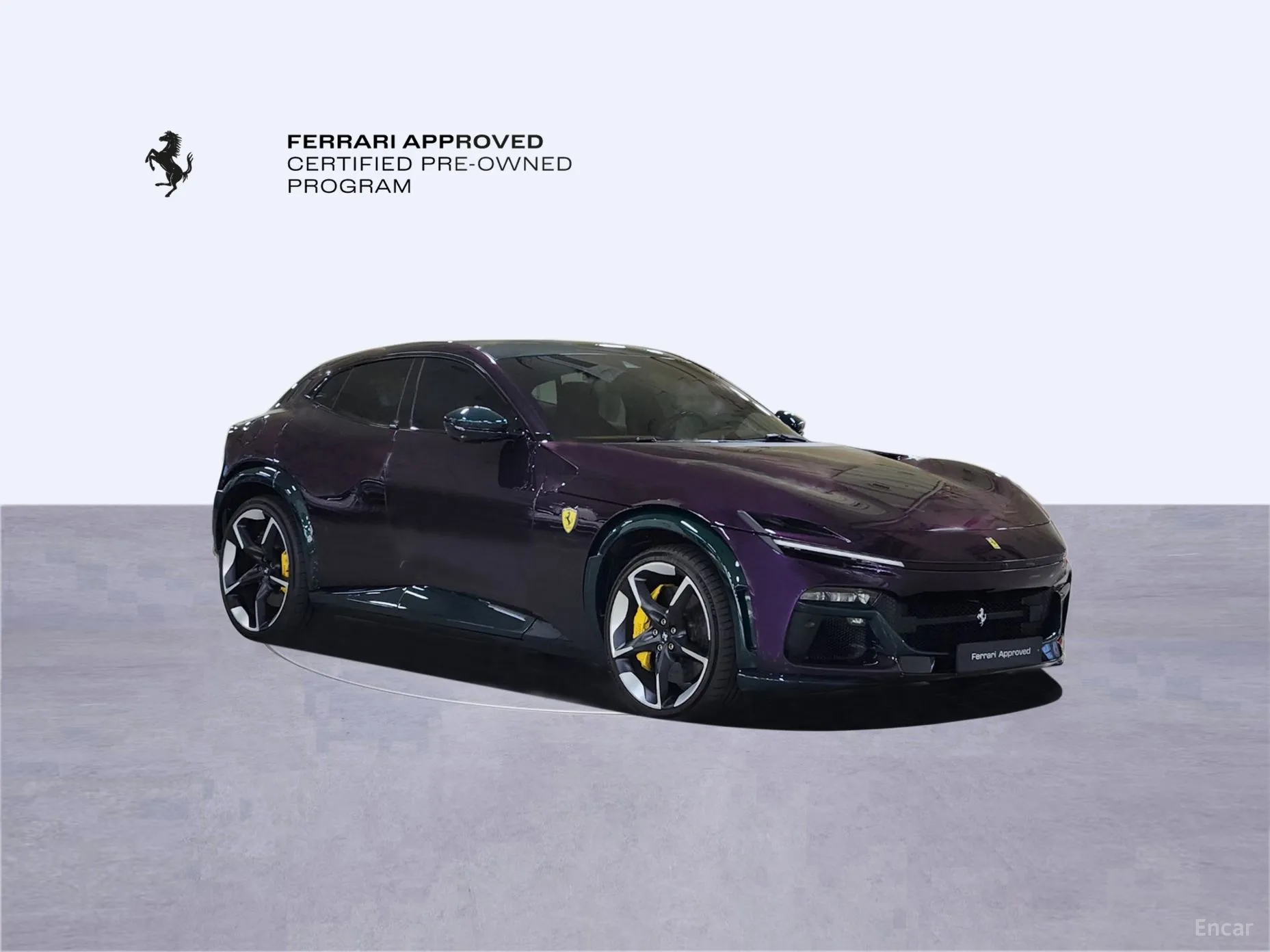 Ferrari Puro Sange превью 4