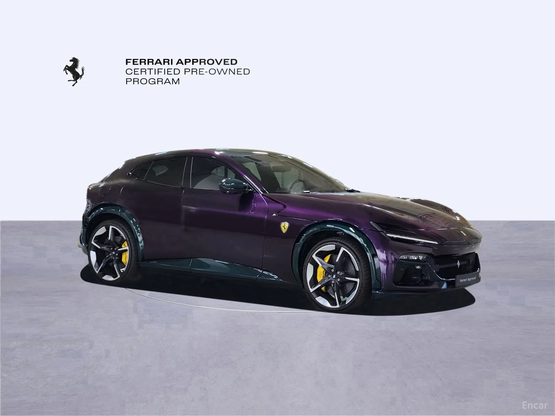 Ferrari Puro Sange превью 5
