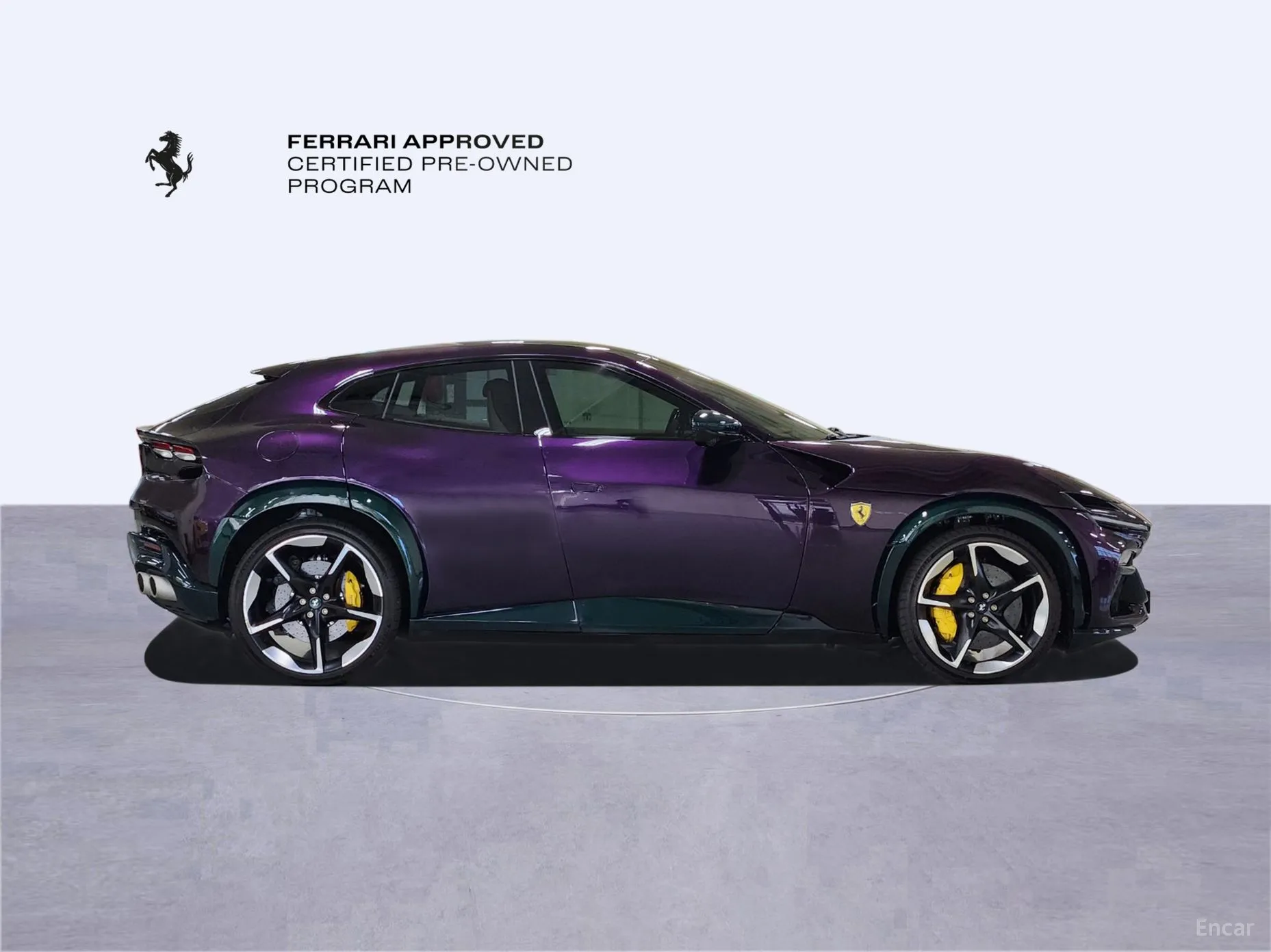 Ferrari Puro Sange превью 6