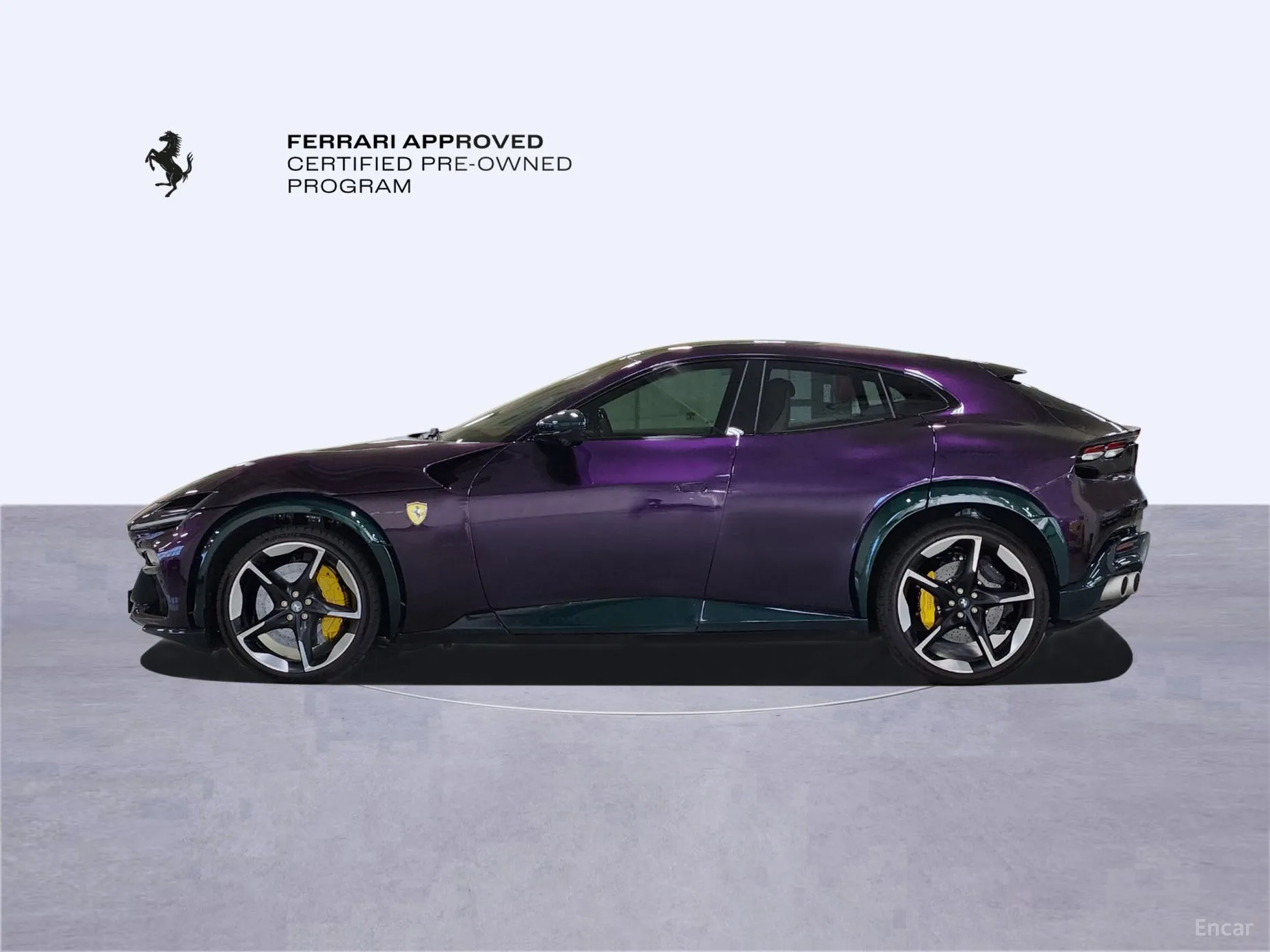 Ferrari Puro Sange превью 8