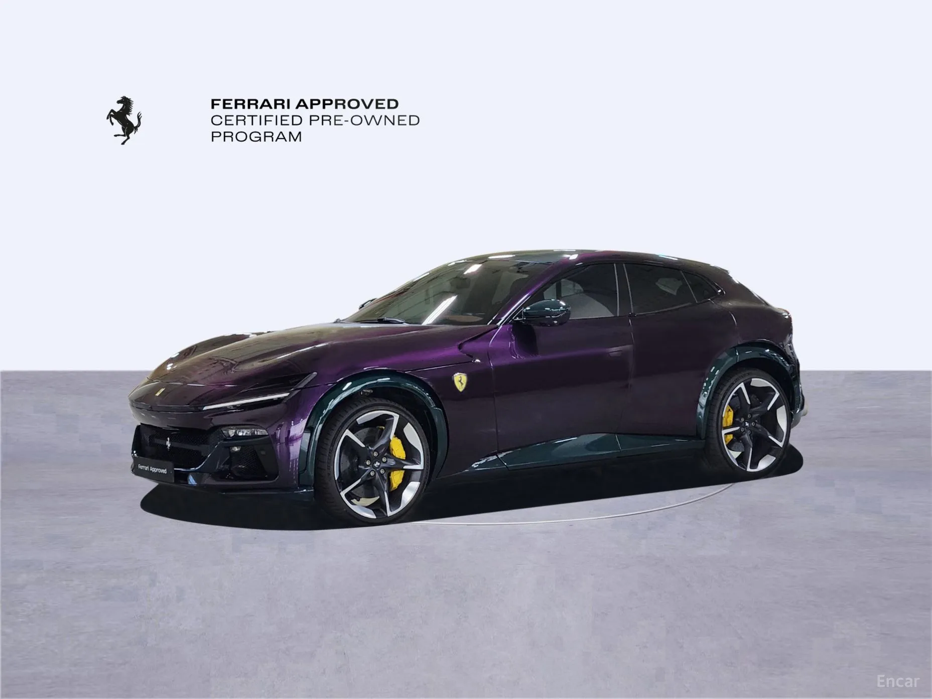 Ferrari Puro Sange превью 9