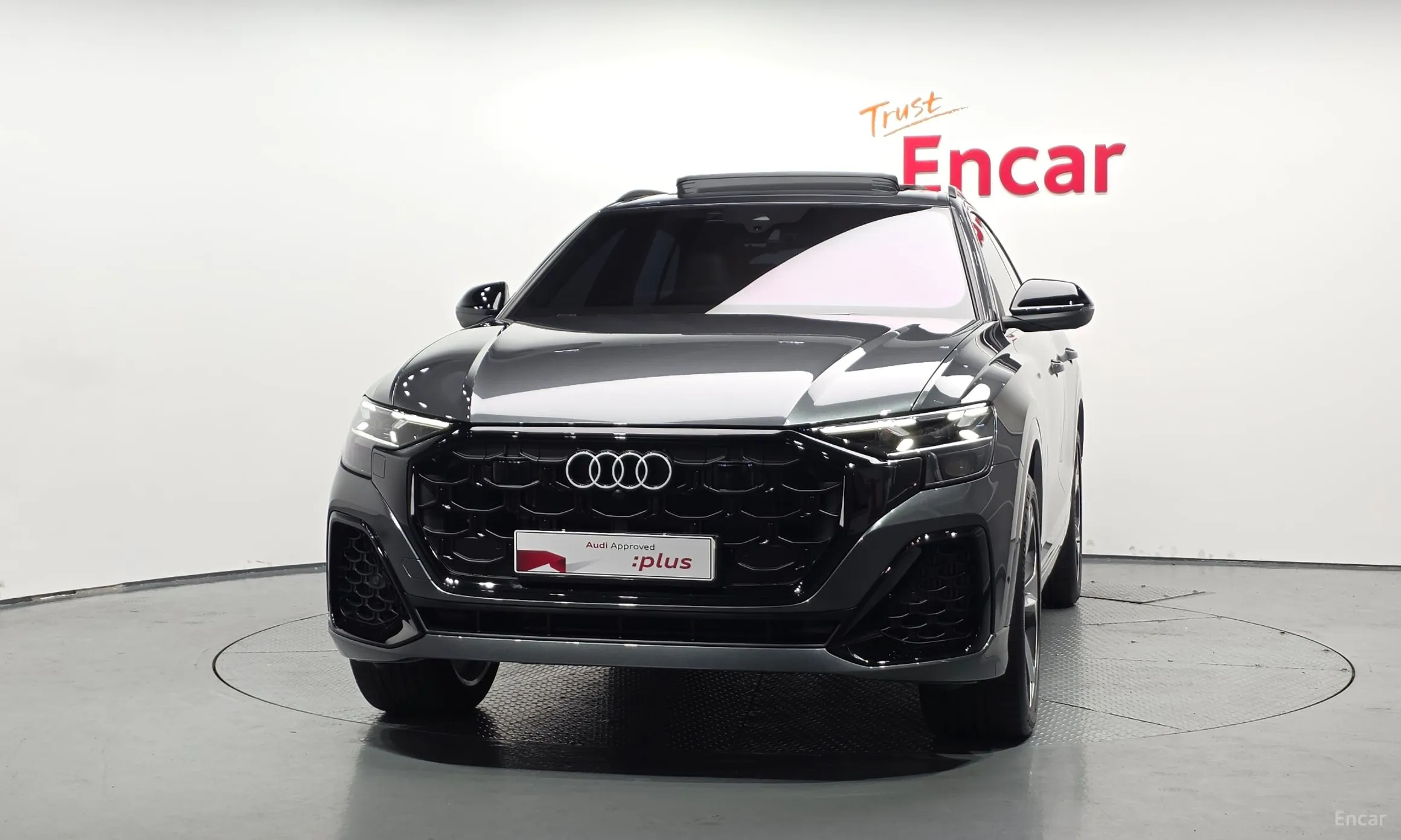 Audi Q8 (4M) превью 3