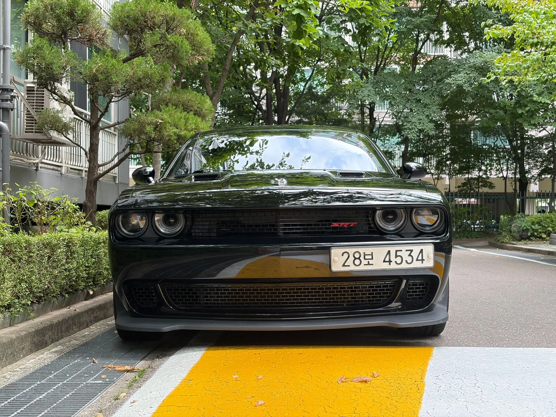 Dodge Challenger превью 3