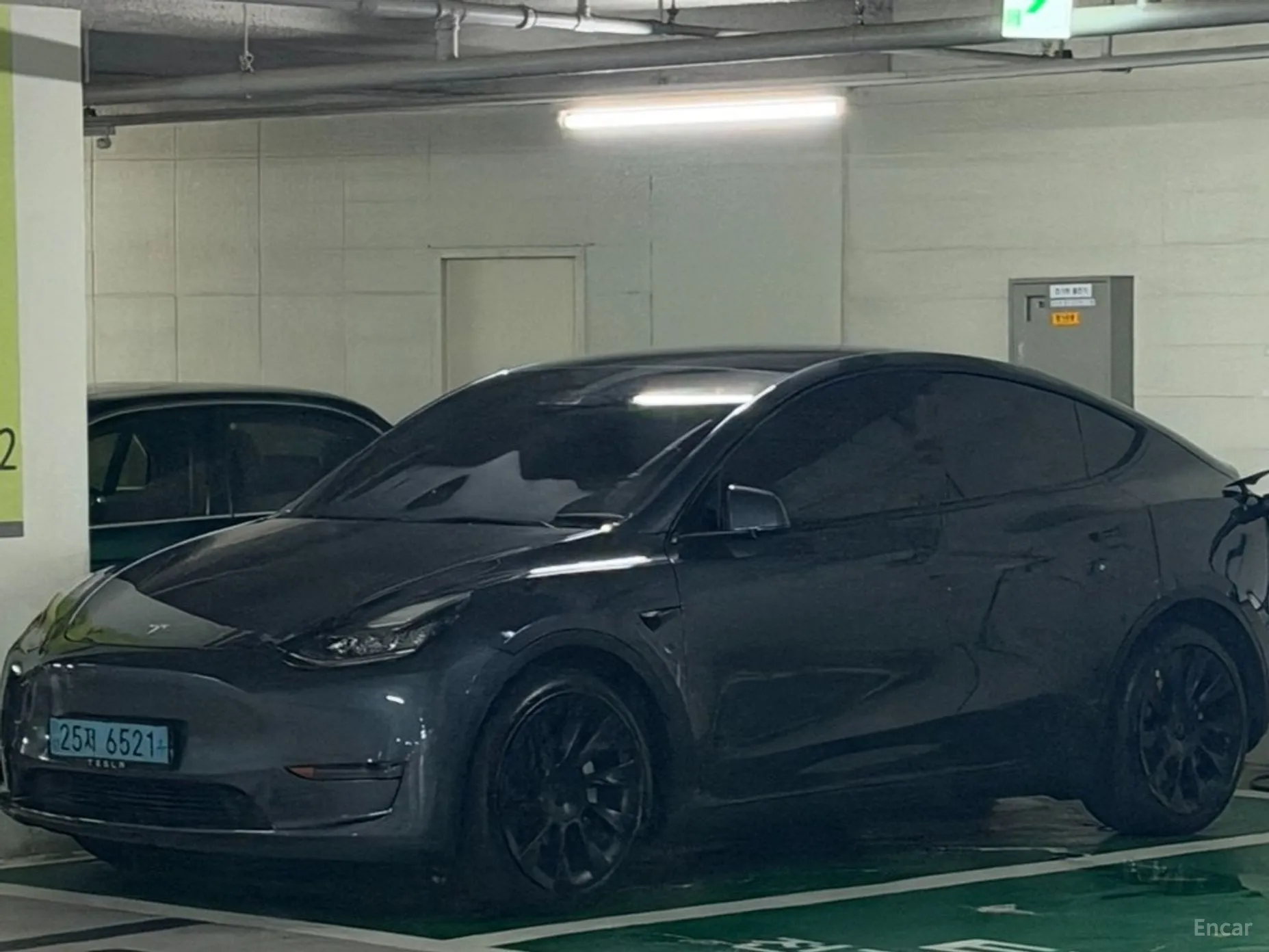 Model Y