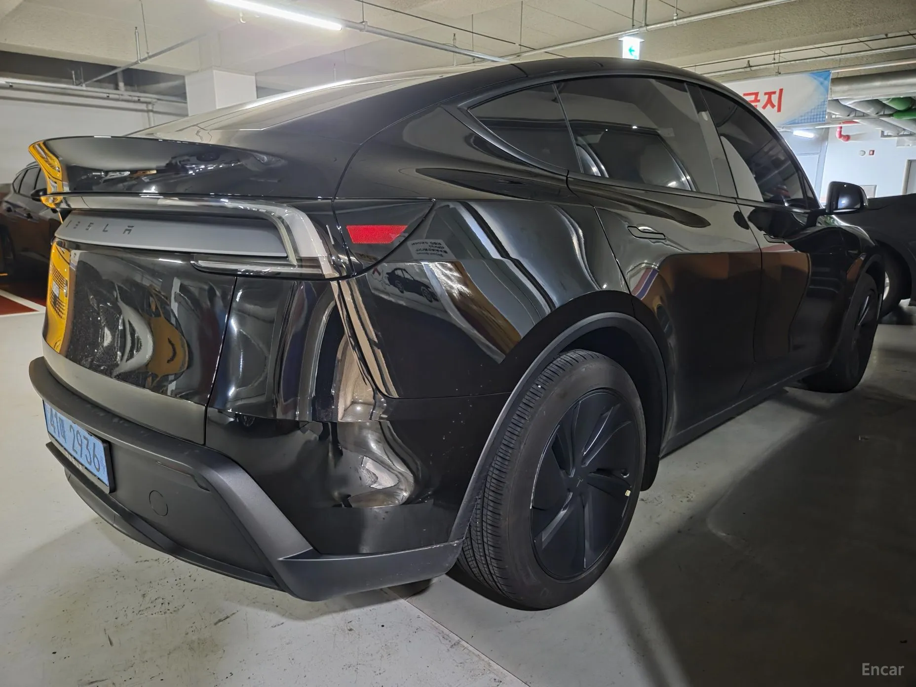 Tesla Model Y превью 5