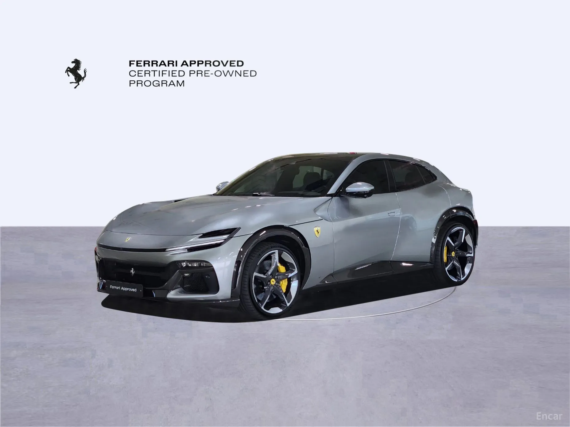 Ferrari Puro Sange превью 10