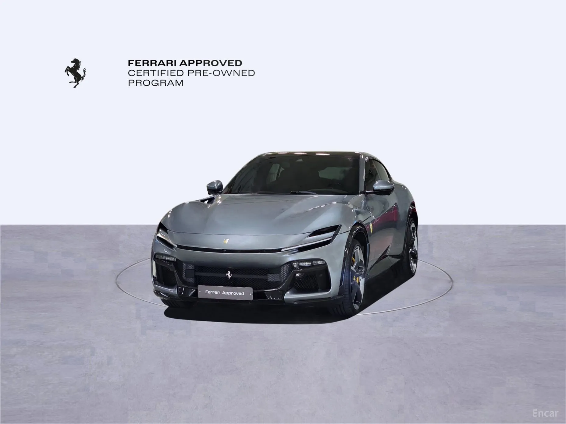 Ferrari Puro Sange превью 11