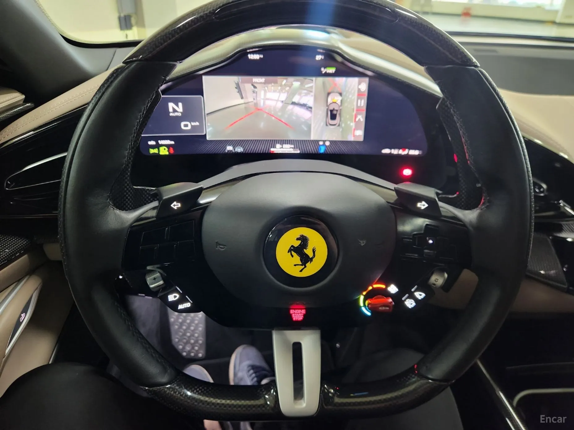 Ferrari Puro Sange превью 13