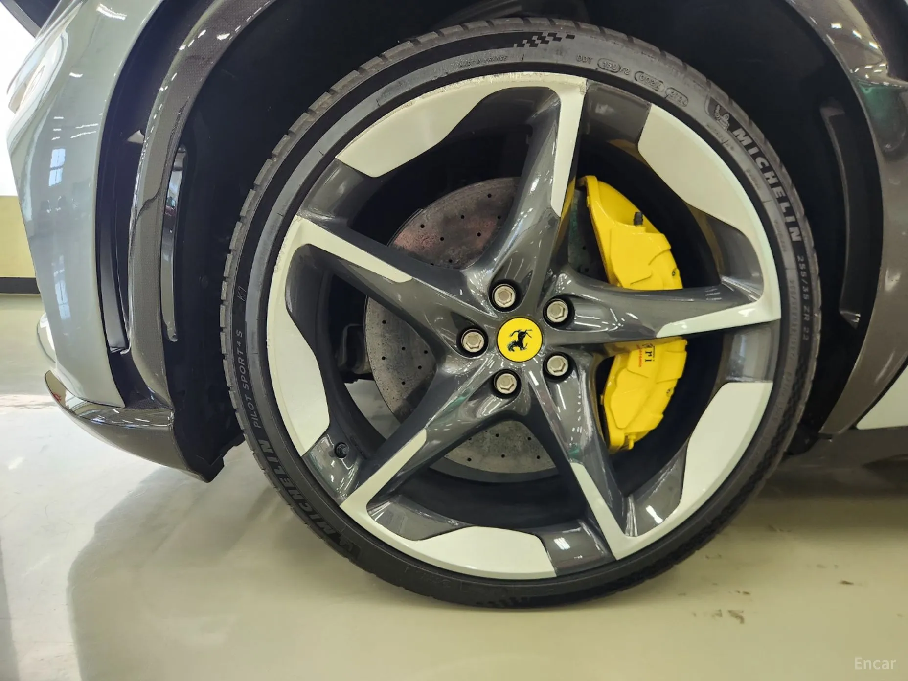 Ferrari Puro Sange превью 20