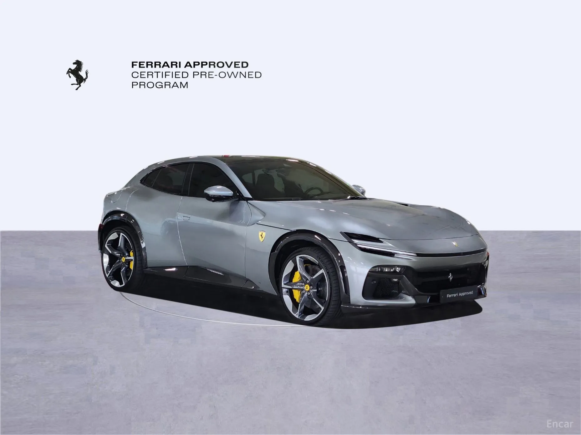 Ferrari Puro Sange превью 4
