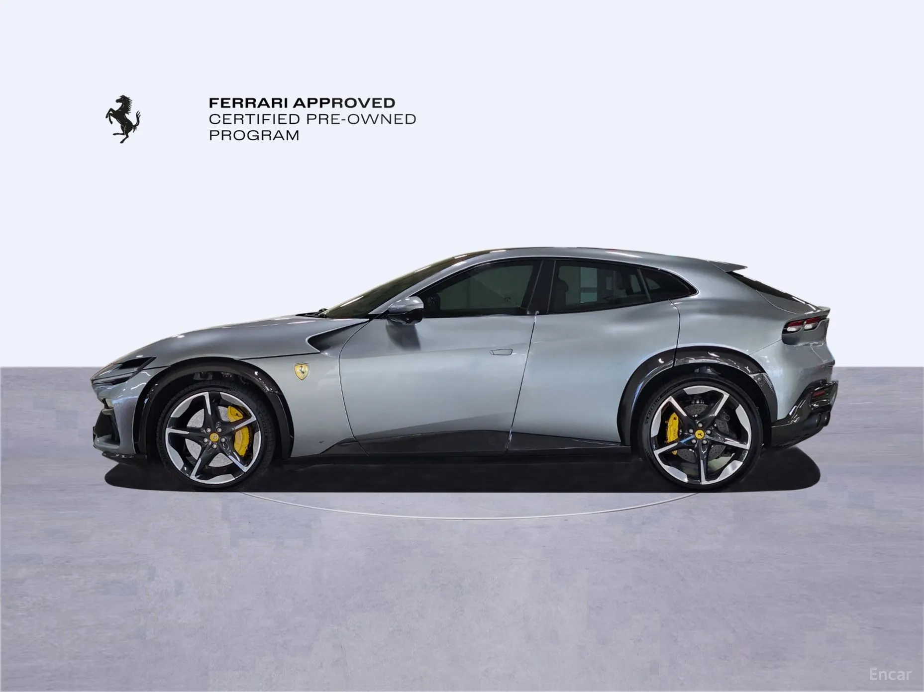 Ferrari Puro Sange превью 8