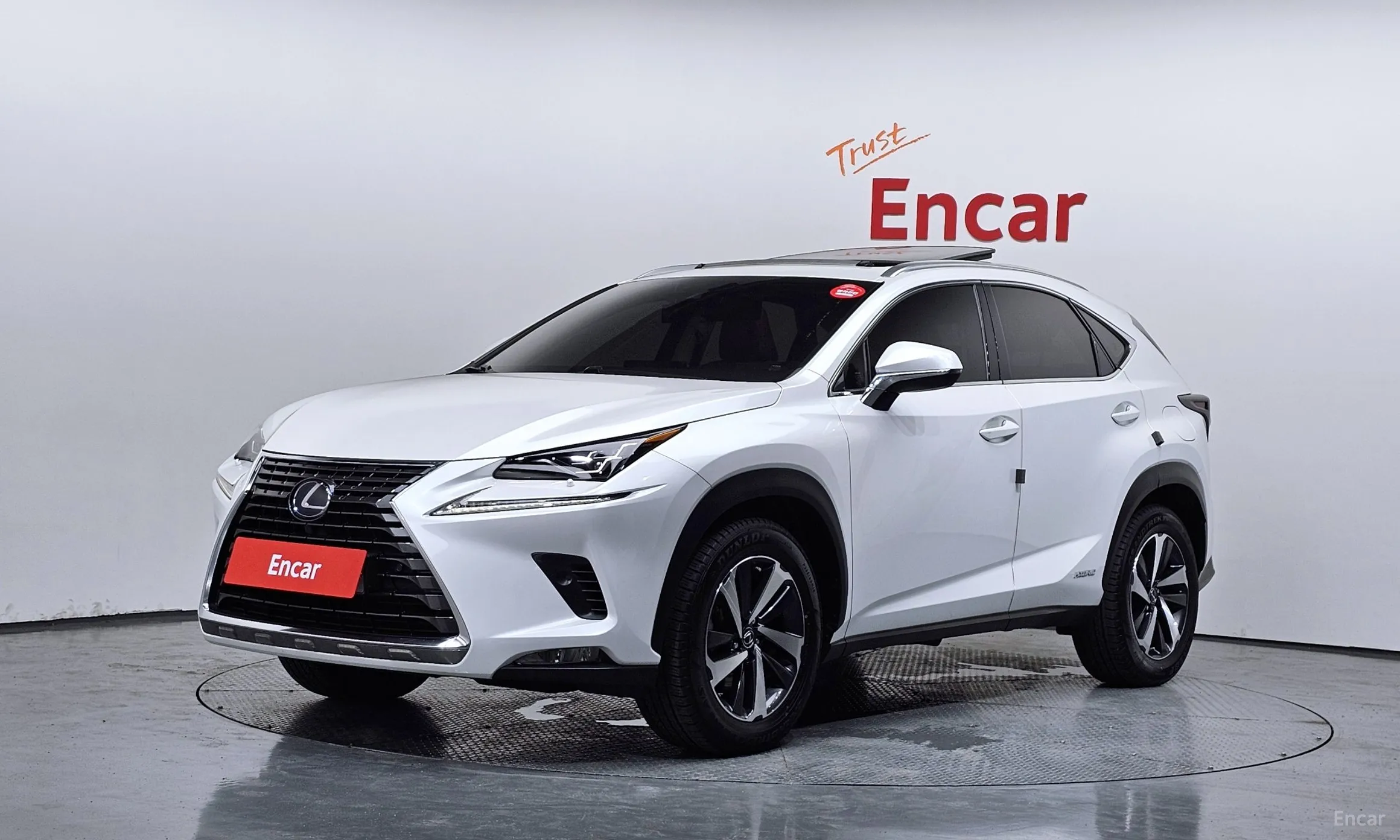 Lexus NX300h