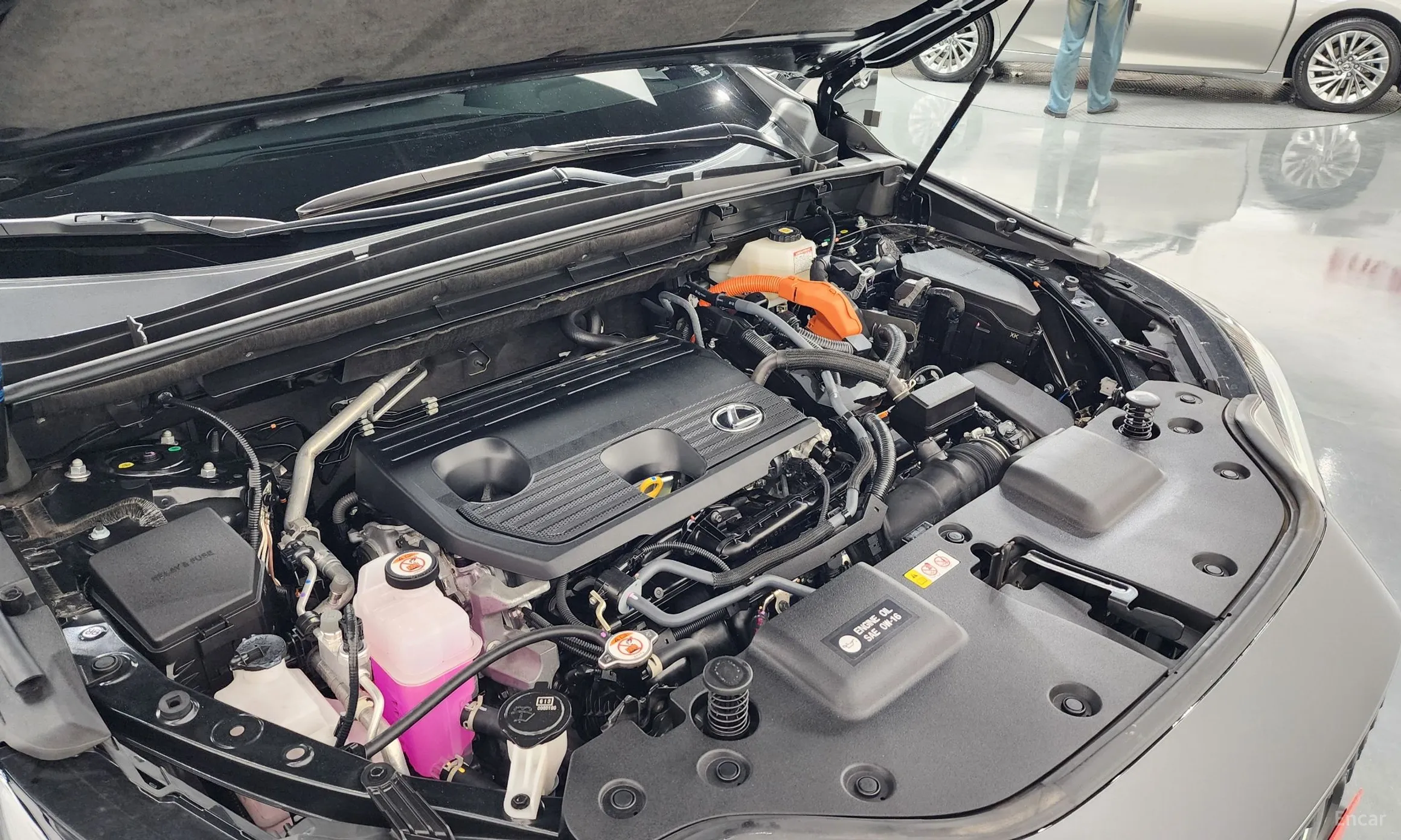 Lexus NX350h Gen 2 превью 6