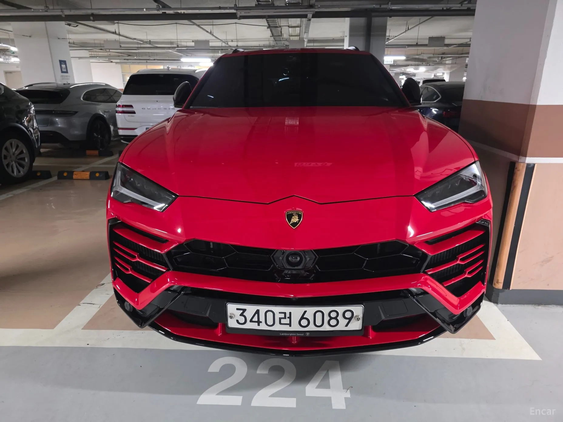 Urus