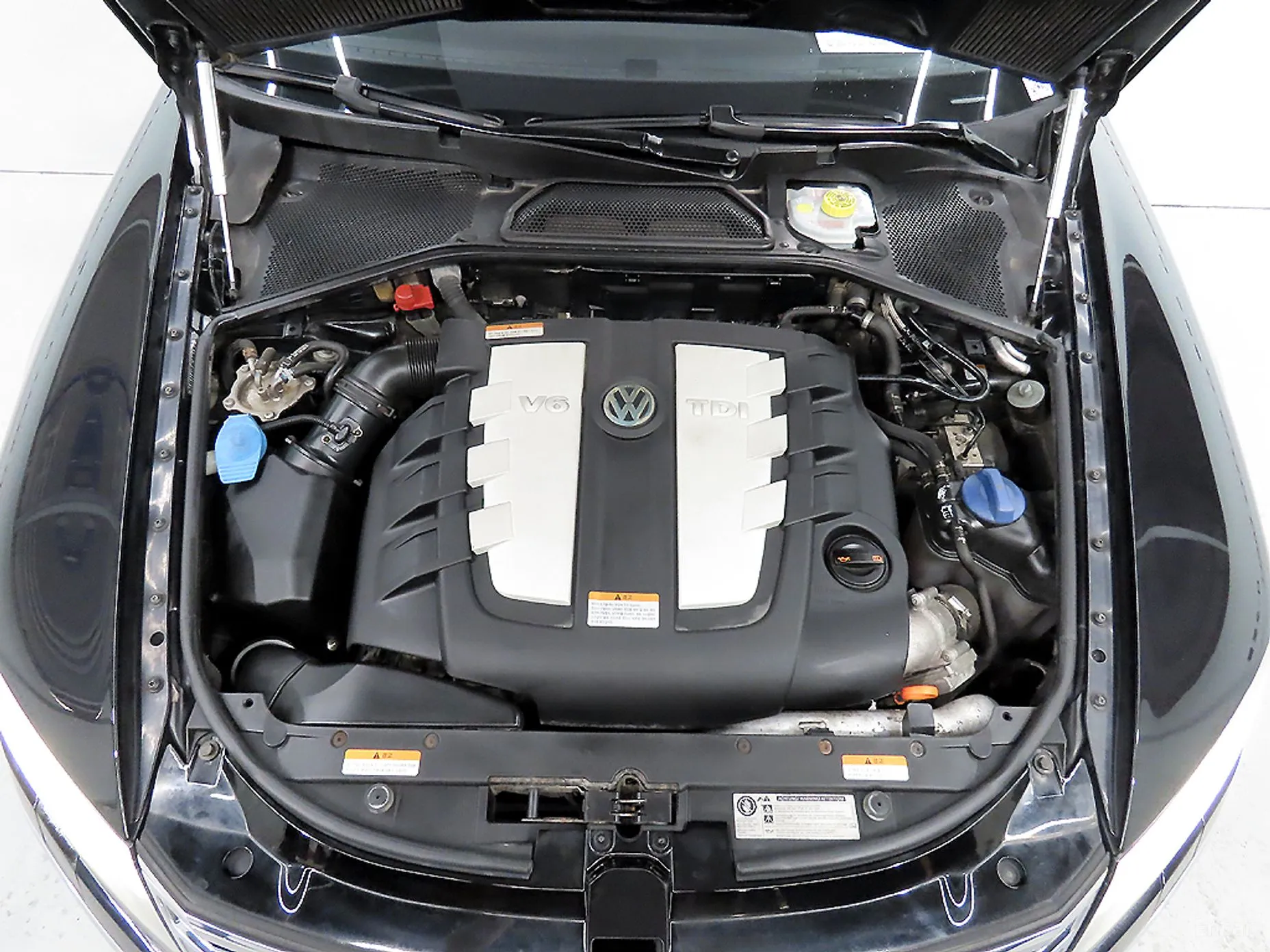 Volkswagen Phyton превью 6