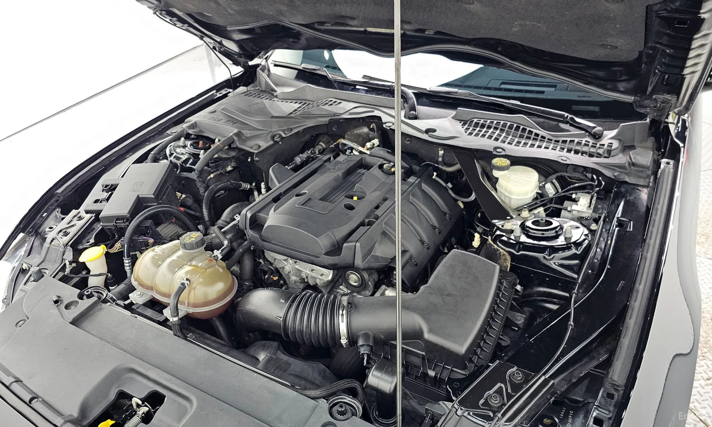 Ford Mustang превью 6