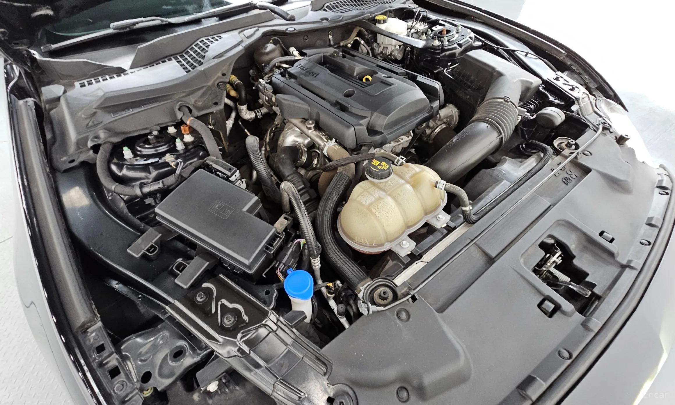 Ford Mustang превью 6