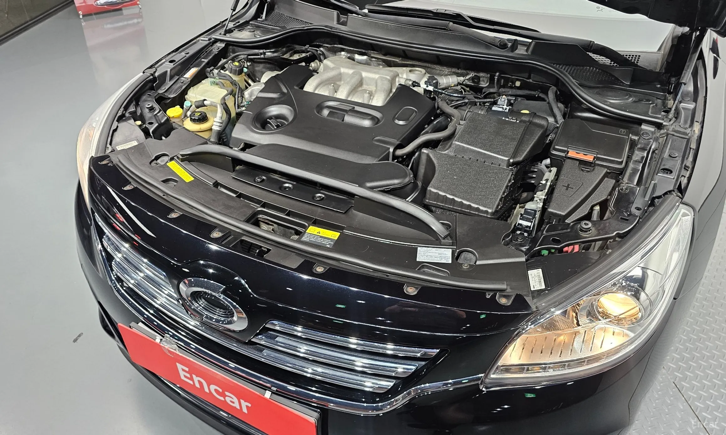 Renault Korea (Samsung) SM7 превью 6